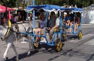 burro taxi mijas